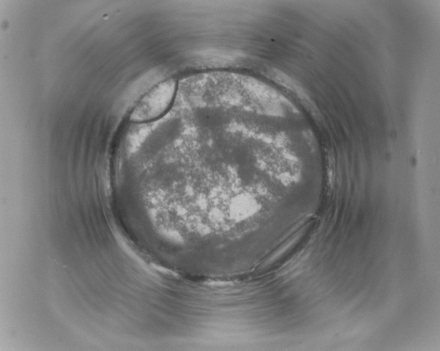 X0000070410582200607072311