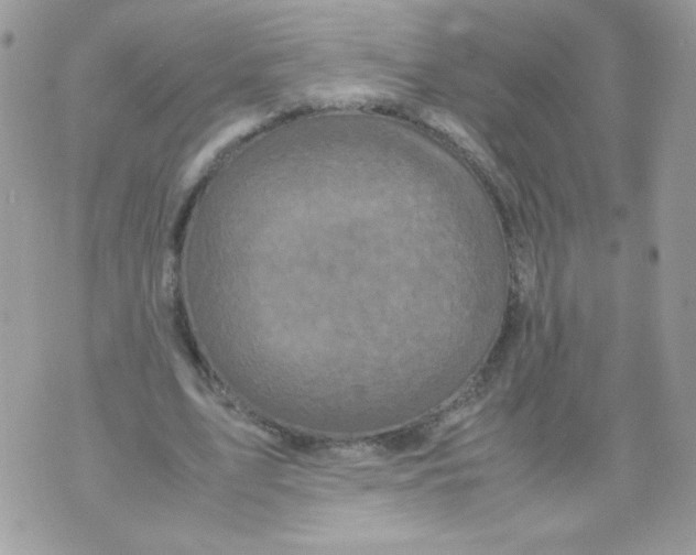 X0000070410583200607072311