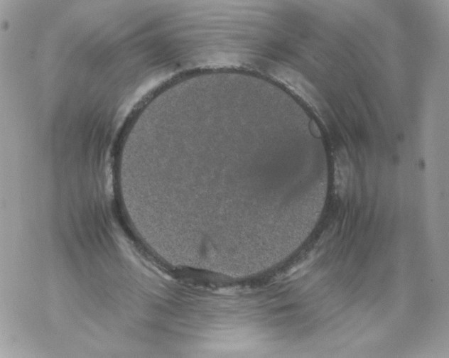 X0000070410584200607072311