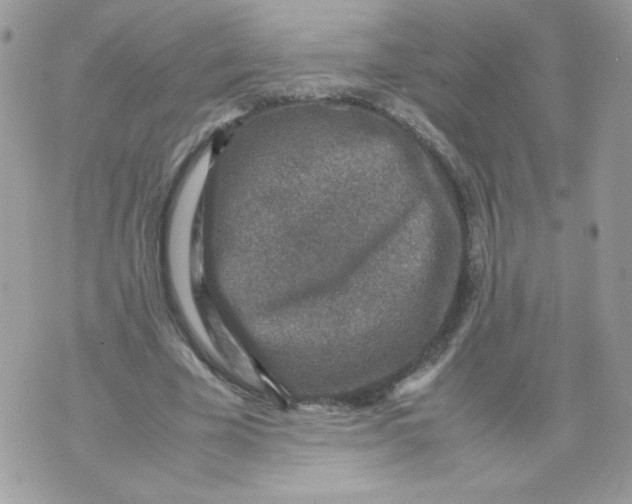 X0000070410585200607072311