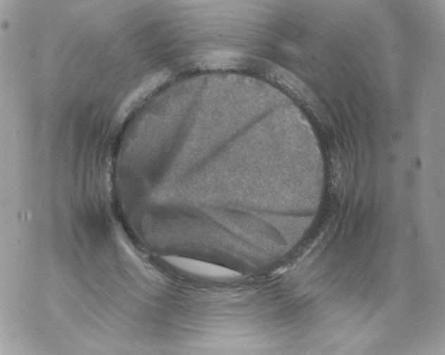 X0000070410586200607072311