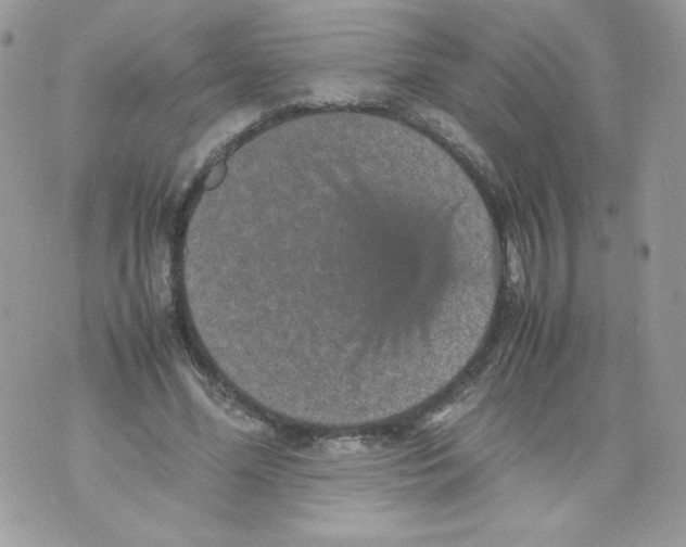 X0000070410588200607072311