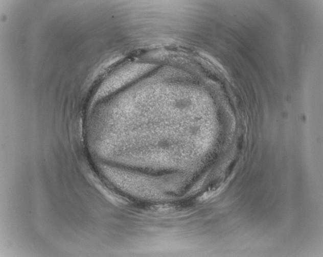 X0000070410589200607072311