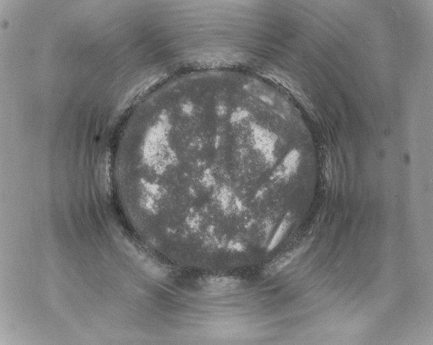 X0000070410590200607072311