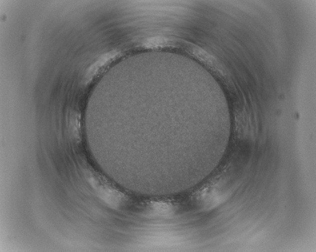 X0000070410592200607072311