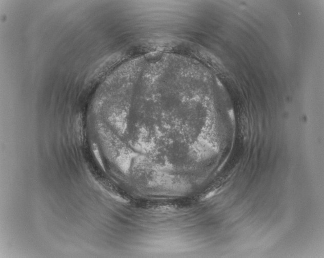 X0000070410594200607072311