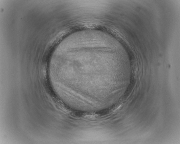 X0000070410595200607072311