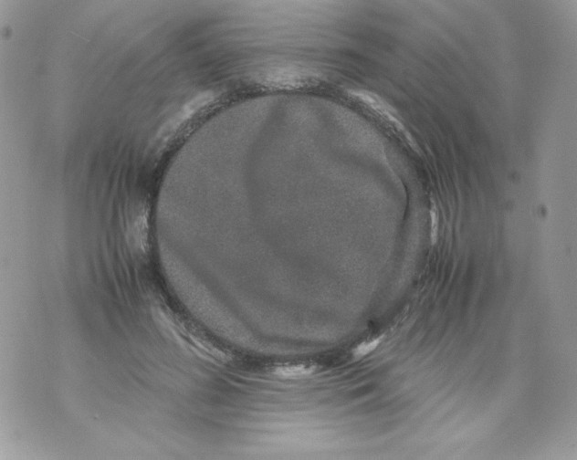 X0000070410596200607072311