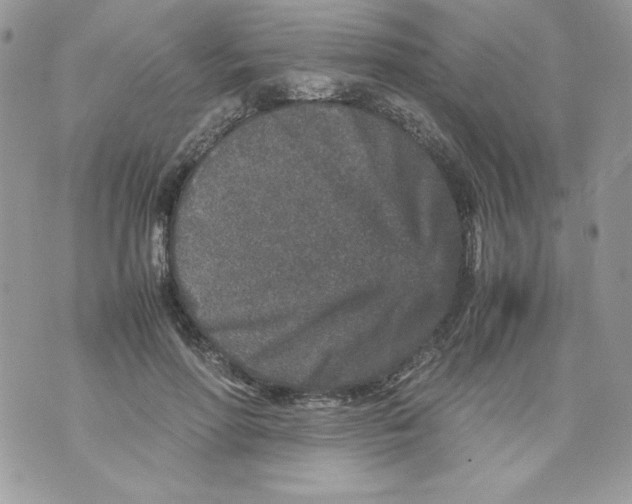 X0000070410598200607072311