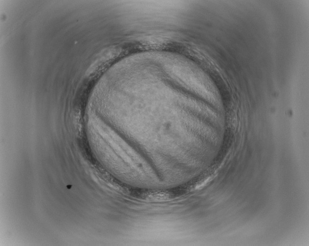 X0000070410599200607072311