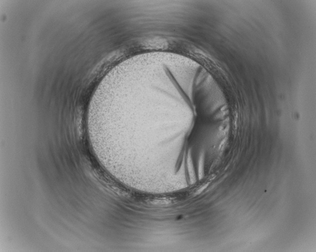 X0000070410600200607072311