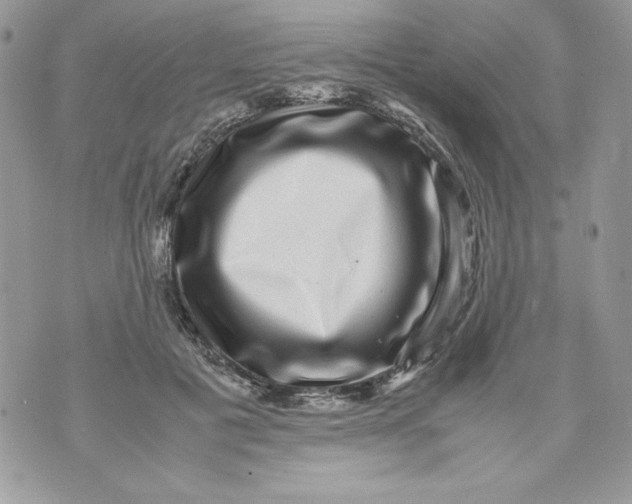 X0000070410601200607072311