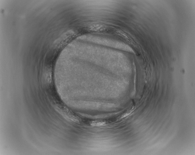 X0000070410602200607072311