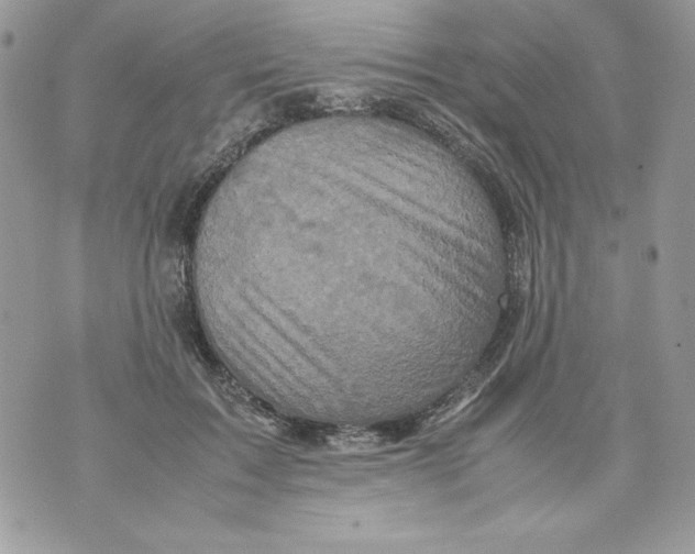 X0000070410603200607072311