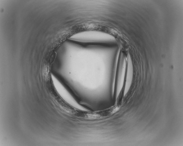 X0000070410605200607072311