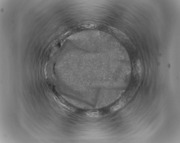 X0000070410606200607072311