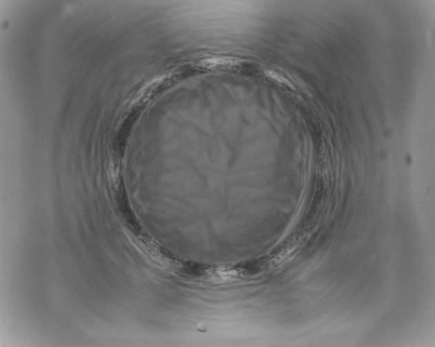 X0000070410607200607072311