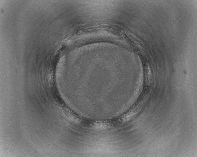 X0000070410608200607072311