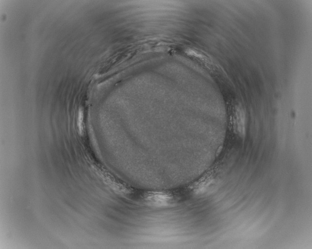 X0000070410610200607072311