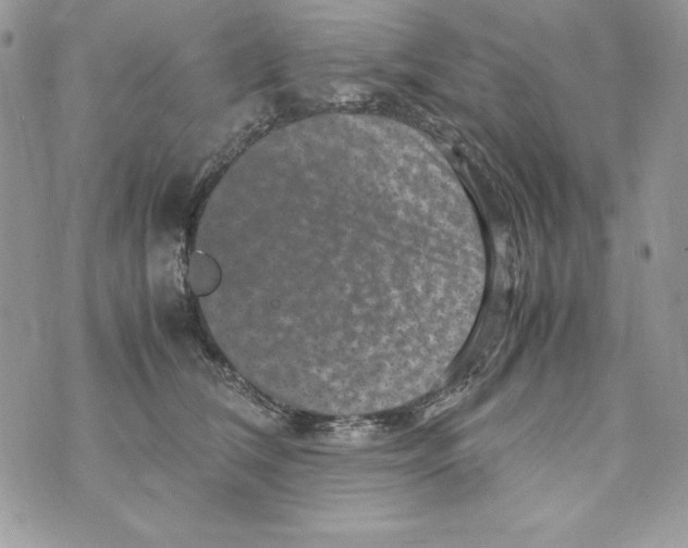 X0000070410612200607072311