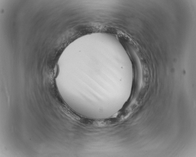 X0000070410613200607072311