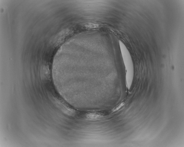 X0000070410614200607072311