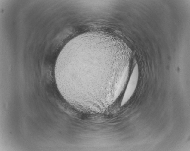 X0000070410615200607072311