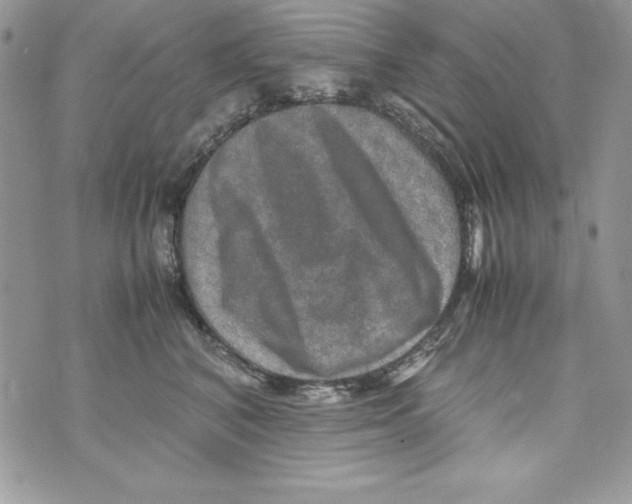 X0000070410616200607072311