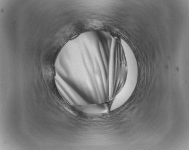 X0000070410617200607072311