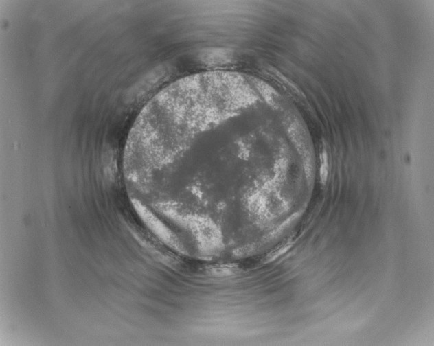 X0000070410618200607072311