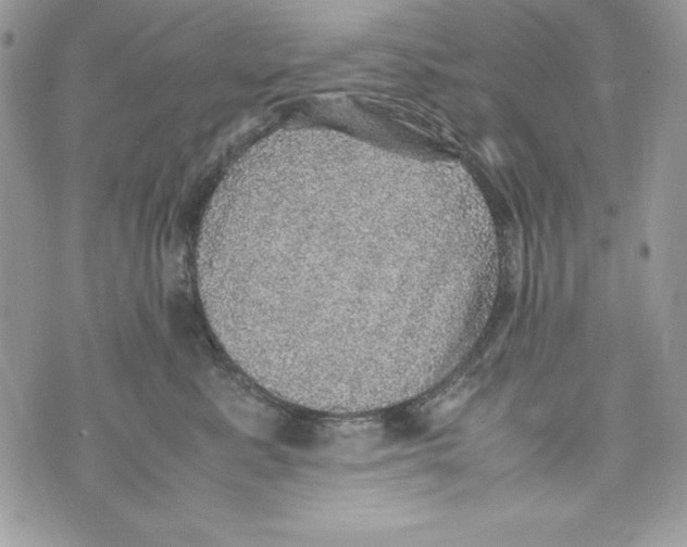 X0000070410619200607072311