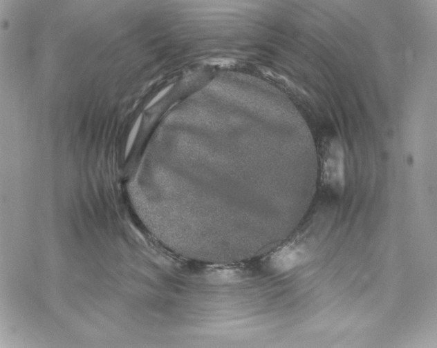 X0000070410620200607072311