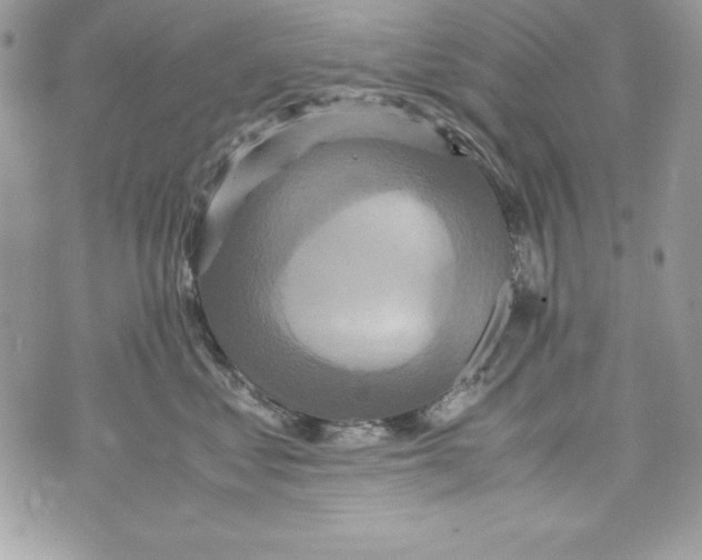 X0000070410621200607072311