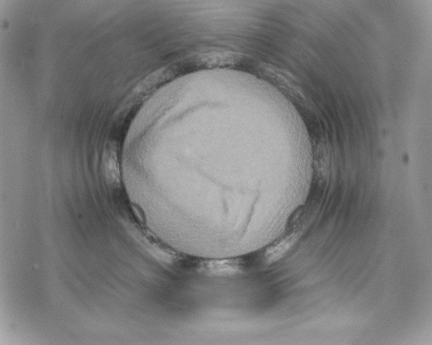 X0000070410622200607072311