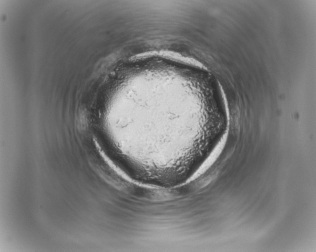 X0000070410623200607072311