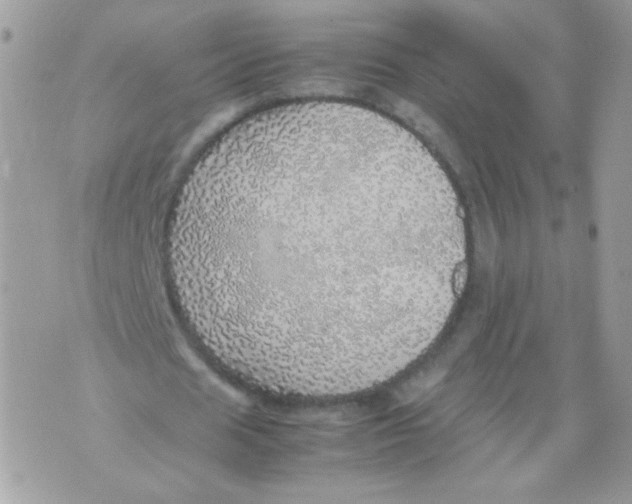 X0000070410625200607072310