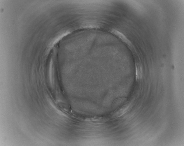 X0000070410627200607072310