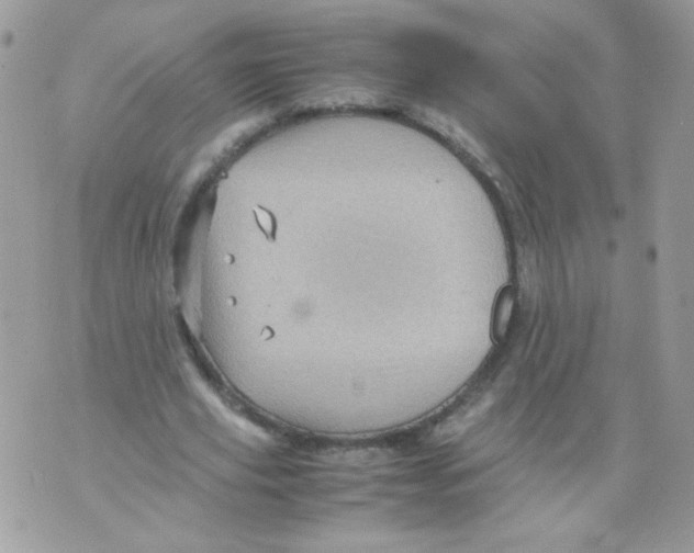 X0000070410629200607072310