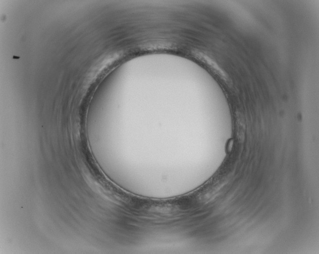 X0000070410631200607072310