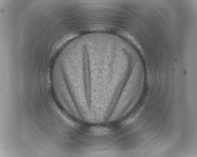 X0000070410633200607072310