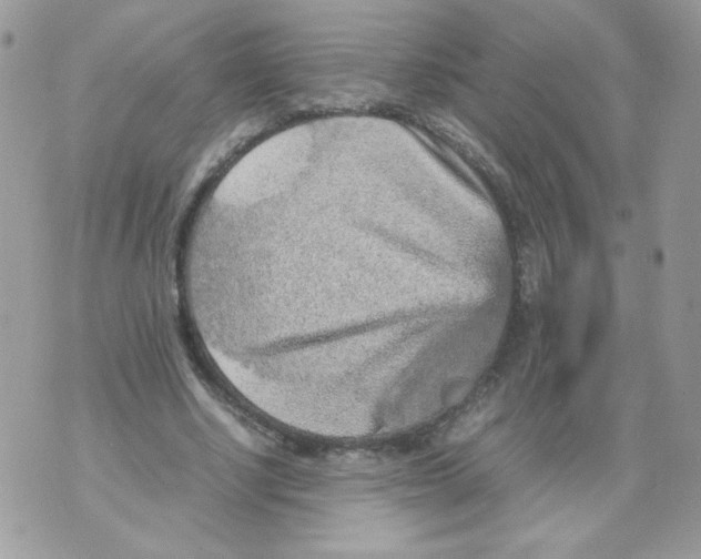 X0000070410634200607072310