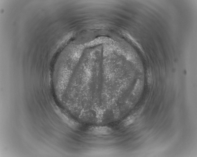 X0000070410637200607072310