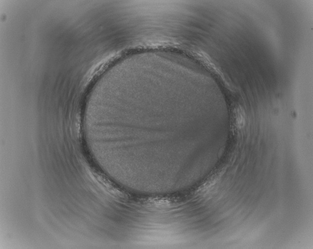 X0000070410640200607072310