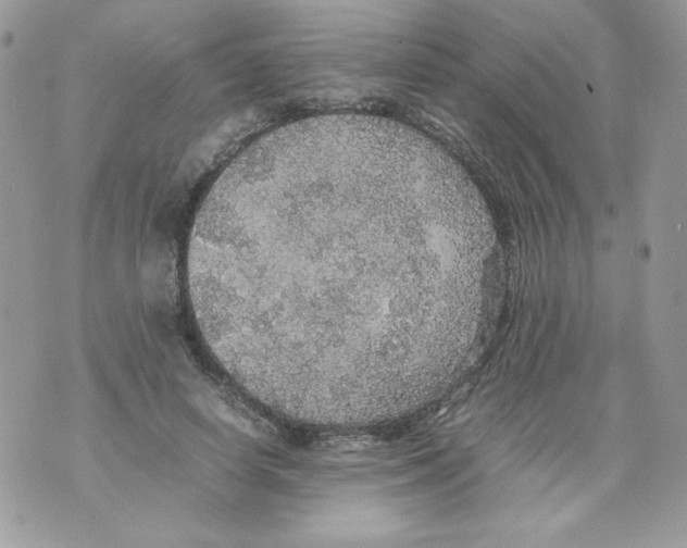 X0000070410642200607072310