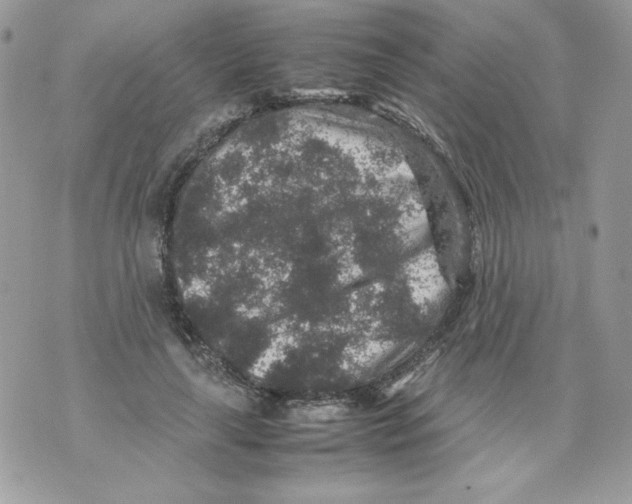 X0000070410643200607072310