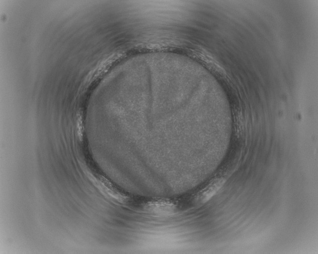 X0000070410644200607072310