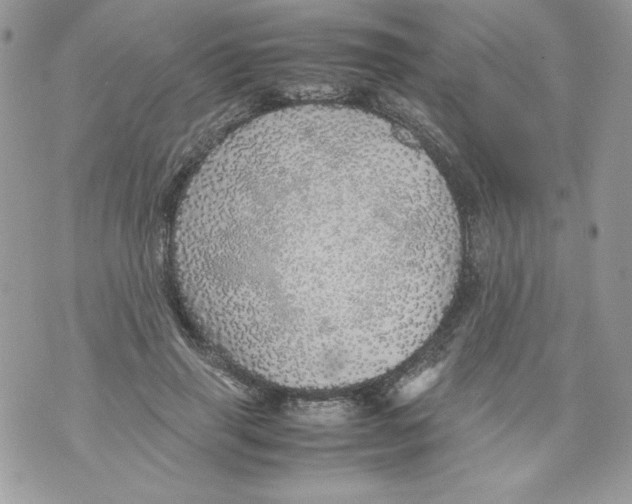 X0000070410645200607072310