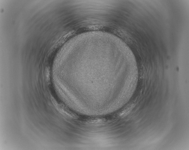 X0000070410646200607072310