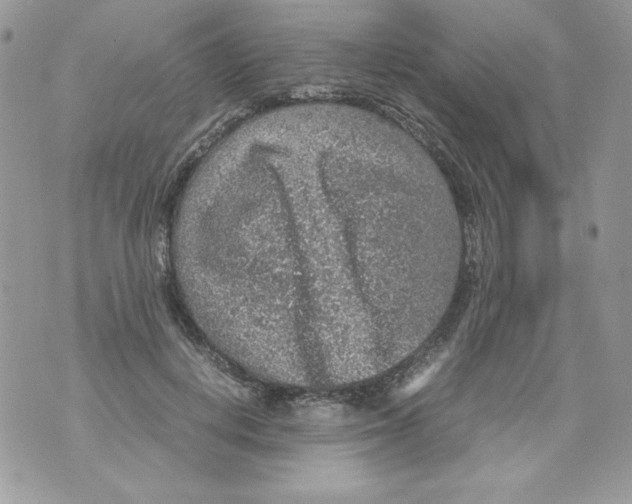 X0000070410648200607072310