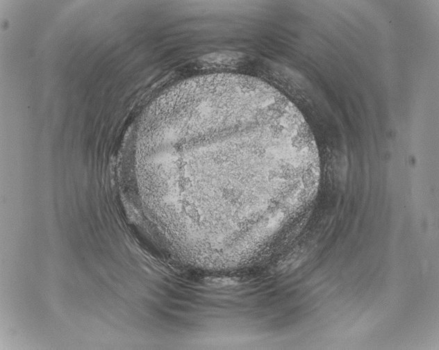 X0000070410649200607072310